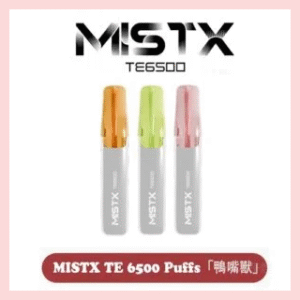 MISTX TE 6500 Puffs「鴨嘴獸」一次性抛棄式電子煙【10款現貨】