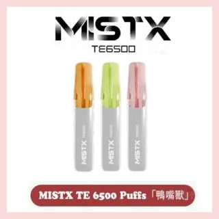MISTX TE 6500 Puffs「鴨嘴獸」一次性抛棄式電子煙【10款現貨】